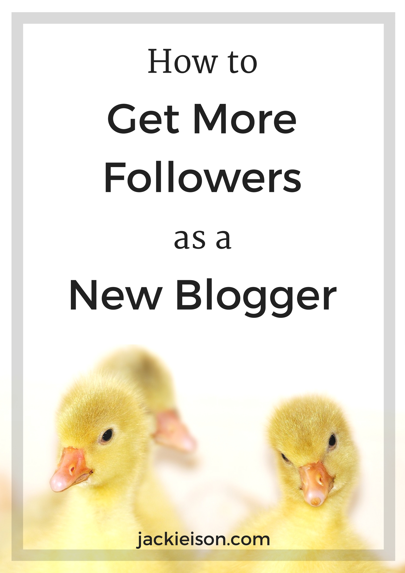 How To Get More Followers As A New Blogger - Jackie Ison